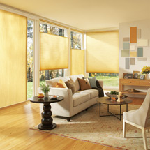 Gator Blinds - Blinds, Orlando, window treatments, window blind treatments, window blinds, blinds